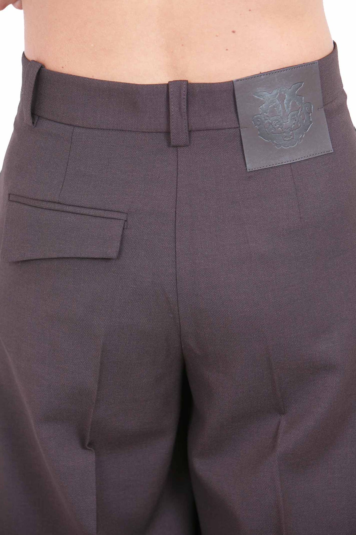 PINKO Pantaloni Marrone oltre buio BALBINO-107712-A3MS M04